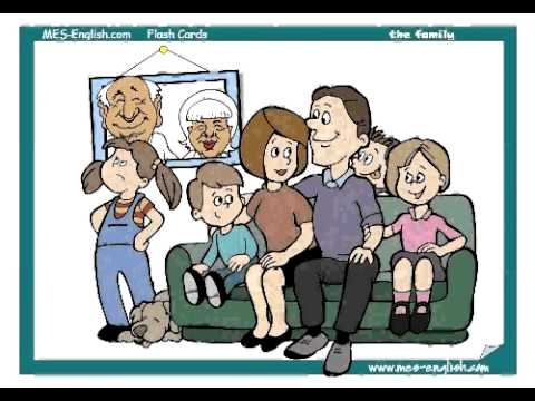 family member vocabulary - English vocabulary lessons