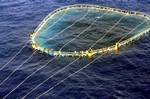 A picture taken Saturday, May 26, 2007, and made available by the Italian Navy Monday, May 28, 2007, showing a group of 27 immigrants hanging on a tuna fishing net after their boat sank off the coast of Malta. The immigrants, coming from Africa, were res