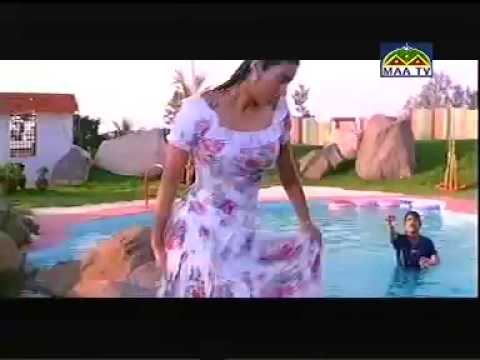 Bollywood Actress Tabu Wet in Pool in a Telugu Movie with Nagarjuna