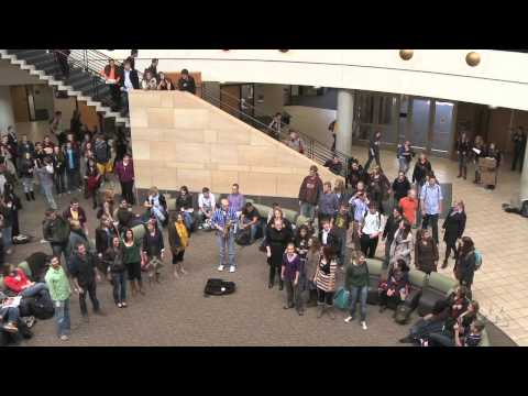 Carlson School of Management Flash Mob, Deck the Halls