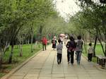 Visitors at Kunming Zoo, Kunming, Yunnan, China.