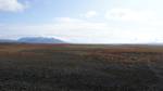 Desert dominates the central highlands, through which the Kjölur road winds its way