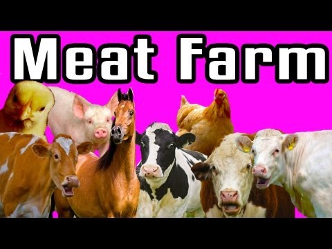 Meat Farm - Epic Meal Time