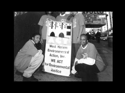 EPA 20th Anniversary Environmental Justice Video Series: Vernice Miller-Travis