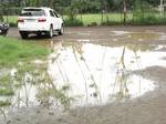 Rain water on the ground- India