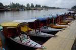 Shikaras lined up at World Famous Dal Lake during a rain in Srinagar on Sunday 09, September 2012. Incessant rains continued to lash Kashmir since Saturday night, sparking crop damage fears among the farming community of the Valley.