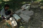 Friut growers packing apple boxes in Srinagar. Kashmir's orchards produce 1.1 million tonnes of apples annually, 700,000 tonnes of which are exported to other parts of India and the rest consumed locally. Only a miniscule percentage makes it overseas. Indian scientist Sarwar Naqash is setting up a network of some 17 markets that will be linked to Indian and international markets through the Internet, in order that Kashmiri apples will soon be landing up on the world's finest dining tables.