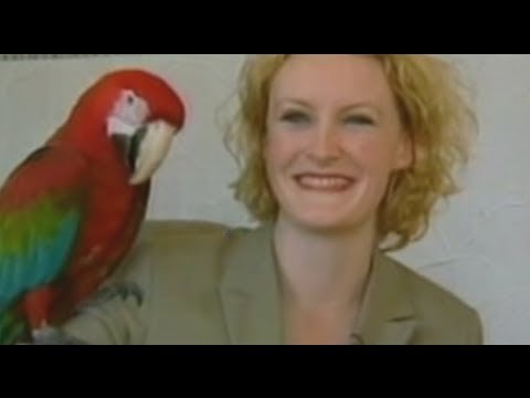 ★ America's Funniest Home Videos part 679 - News Bloopers