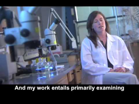 Angie Christensen: Forensic Anthropologist.mp4