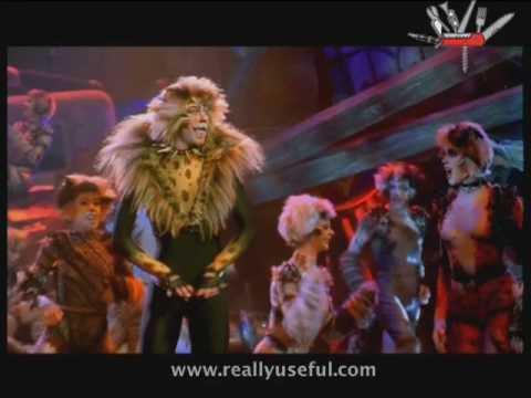 The Rum Tum Tugger