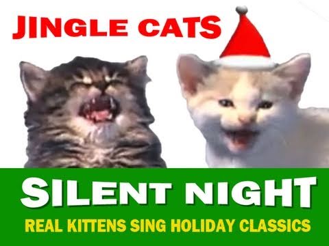 Jingle Cats Silent Night