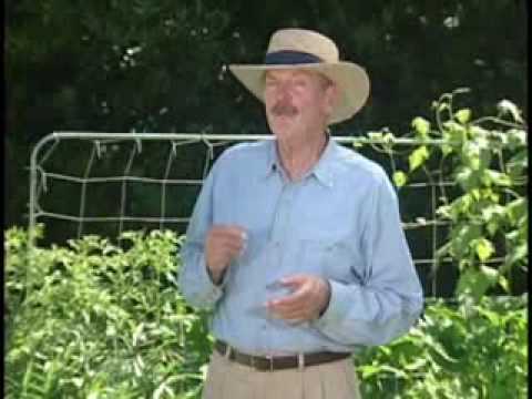 Mel Bartholomew - Introducing Square Foot Gardening