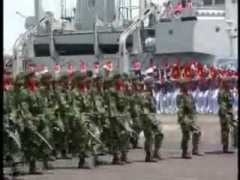 Indonesian National Armed Forces ( TNI )