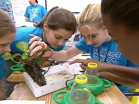 Wetland Watchers: Kids Care for Their Environment