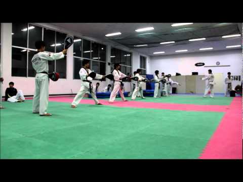 Taekwondo Training with Yongin University Demo Team