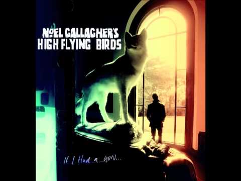 Noel Gallagher's High Flying Birds - If I Had A Gun