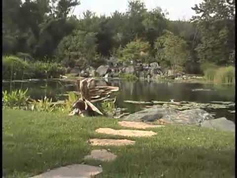 Wetland Filtration For Ponds by Aquascape