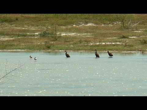 May Is Wetlands Month