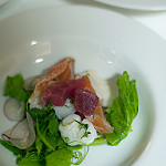 scallop and snapper cevichewith vodka cured salmon, tuna, radish and snow pea shoots