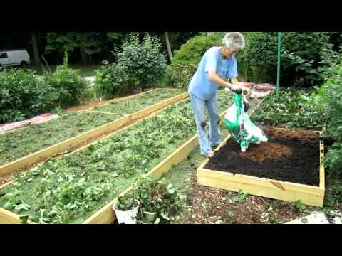 Raised Strawberry Beds Finished - Wisconsin Garden Video Blog 174.avi