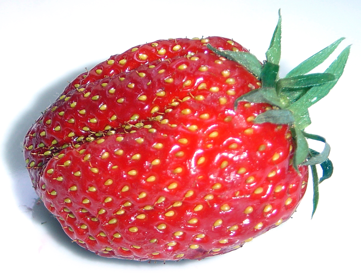 Closeup of a healthy, red strawberry