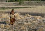 Woman harvesting wheat, Raisen district. Madhya Pradesh's gross state domestic product (nominal GDP) for 2010–11 was INR 259,903 crore (approximately US$ 47,120)