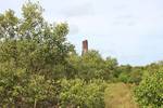 Light house middle of mangrove forest Andhra Pradesh India. Konaseema is a very scenic delta and has a very rich mangrove forest along the east coast.