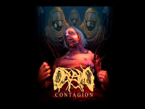 Oceano - Quarantine (LYRICS) From the new album, 