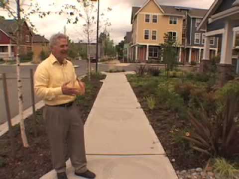 High Point: a neighborhood with porous sidewalks & plants that clean