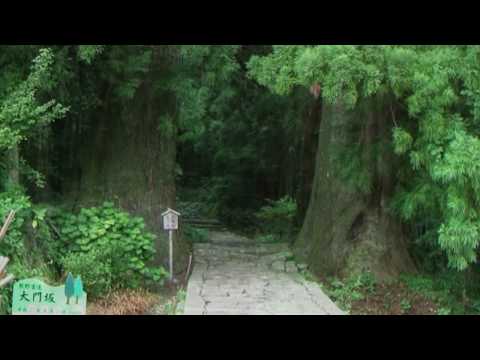 Japan, Kami: The Gods of Shinto