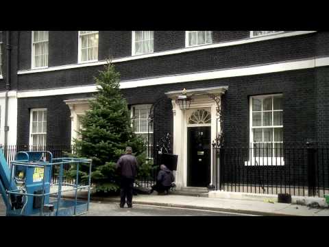 No.10 Downing Street's Christmas Tree timelapse video