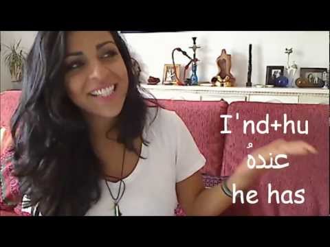 Arabic Beginner Lesson 26- The verb to have !