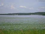 Typical Östgöta plains. From west to east, in the middle parts, extends the Östgöta Plain (Östgöta-slätten). It is largely agricultural. In the southern part of the province, the terrain becomes marked by the south-Swedish highlands, with hills and countless lakes.