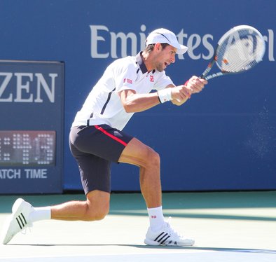 Day 14 - The Men's Singles Semifinal match of Novak Djokovic (SRB) vs David Ferrer (ESP) US Open 2012 USTA Billie Jean King National Tennis Center New York City, USA - September 9, 2012