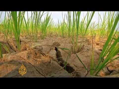 Looming famine in North Korea amid drought crisis