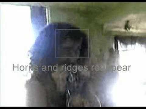 Reptile Woman - UFO Reptilian / Demon Morphing