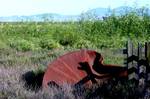 Mount Diablo as seen from the Suisun Marsh: Located in northern California the Suisun Marsh (/səˈsuːn/SOO-soon) is the largest brackish marsh on west coast of the United States of America.