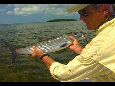 Biscayne Bones - screaming BONEFISH in South Florida