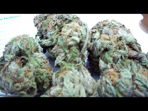 Purple Kush Cannabis 420 High Def Close Up 720p Macro