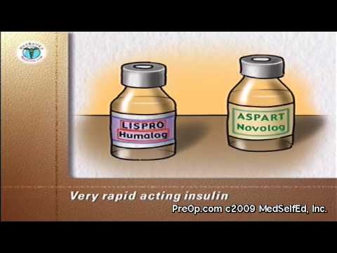 Diabetes Patient Education Types of insulin