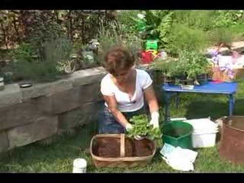 Container Gardening: Container Herb Garden