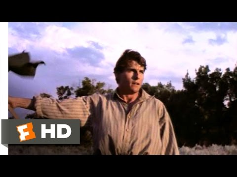 Far and Away (8/9) Movie CLIP - This Land Is Mine! (1992) HD