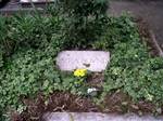 Grave of Ezra Pound in San Michele