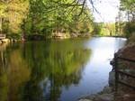 Stanley Park of Westfield is a privately owned 300-acre (1.2 km2) park, including an arboretum and botanical garden, located in Westfield, Massachusetts.