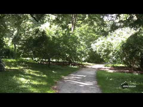 Ablevision Visits the Arnold Arboretum