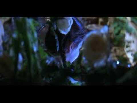 Practical Magic - Amas Veritas - True Love Spell