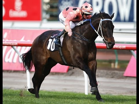 Black Caviar Feature