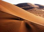 Sand dunes in the Namib Desert, Namibia.At 825,418 km2 (318,696 sq mi),[24] Namibia is the world's thirty-fourth largest country (after Venezuela). It lies mostly between latitudes 17° and 29°S (a small area is north of 17°), and longitudes 11° and 26°E.