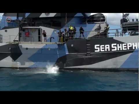 Sea Shepherd's Bob Barker Crew Prepares for Operation Divine Wind