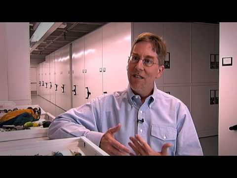 Ornithologist Richard Prum: 2009 MacArthur Fellow | MacArthur Foundation